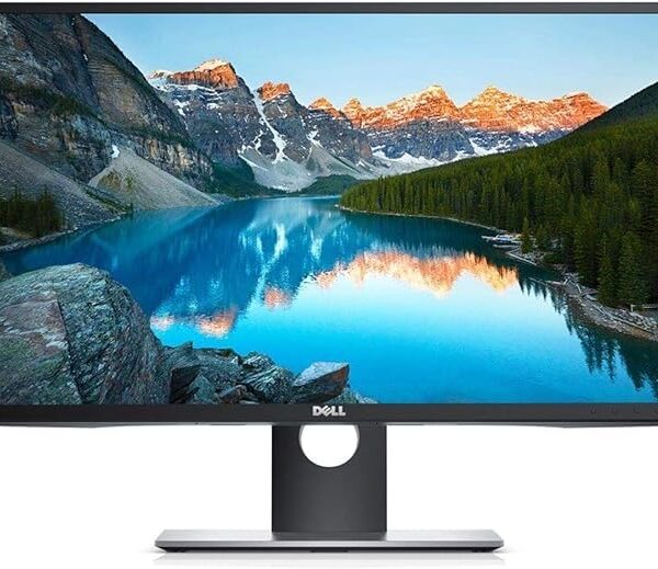 Moniteur Dell P2417Hb – Écran 24” Full HD