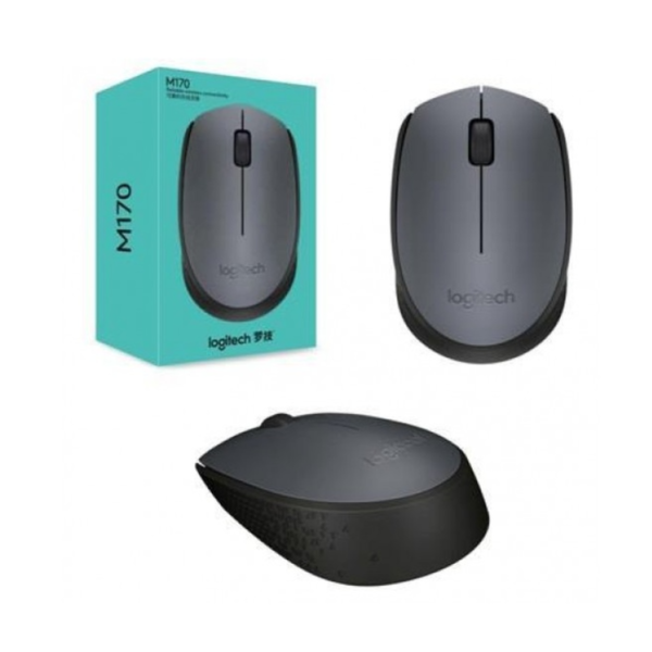 Souris Logitech M170